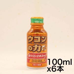 ウコンの力 ウコンエキスドリンク 100ml×6本｜yoyogiha