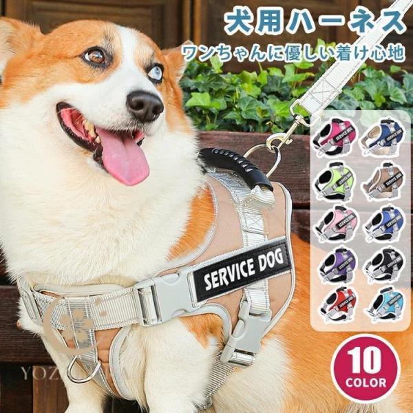 犬 ハーネス 名前 胴輪 名入れ おしゃれ 小型犬 中型犬 大型犬 簡単装着 ハンドル付き 頑丈 抜...