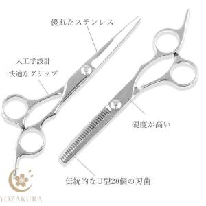 散髪 ヘアカット はさみ セット ステンレス製...の詳細画像5