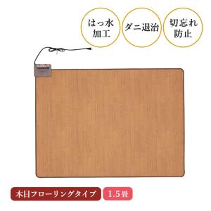 Panasonic（パナソニック） DC-2HAC3-C 着せ替えカーペット セット