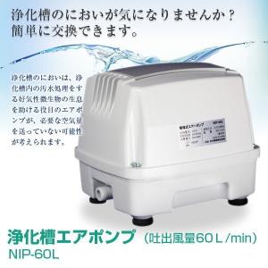 AP-60G エアポンプ 60L 新品 安永エアポンプ AP-60G（安永エアポンプ）（LP-60AN、AP-60、AP