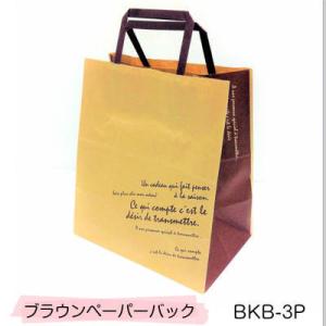 紙袋 BKB-3P BKFブラウンペーパーバッグ （10枚）クラフト紙 手提げ袋 紙袋 ペーパーバッ...