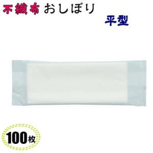 フレッシュメイト 紙 おしぼり 平 不織布 A-6 白無地(100枚)