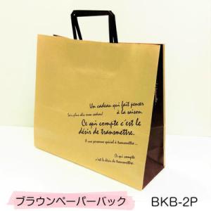 紙袋　BKB-2P BKFブラウンペーパーバッグ (10枚)クラフト紙 手提げ袋 紙袋 ペーパーバッ...