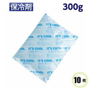 保冷剤　業務用　[I-300]　300g　(10個) 140×190mm　I&apos;TS COOL(イッツ...