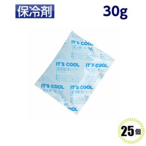 保冷剤　業務用　ミニ[I-30]　30g　(25個) 70×90mm　I'TS COOL(イッツクール）アイスパック｜ypack