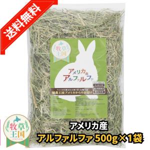 牧草王国 うさぎ 牧草 スーダングラス 特選プレミアム アメリカ産 50g