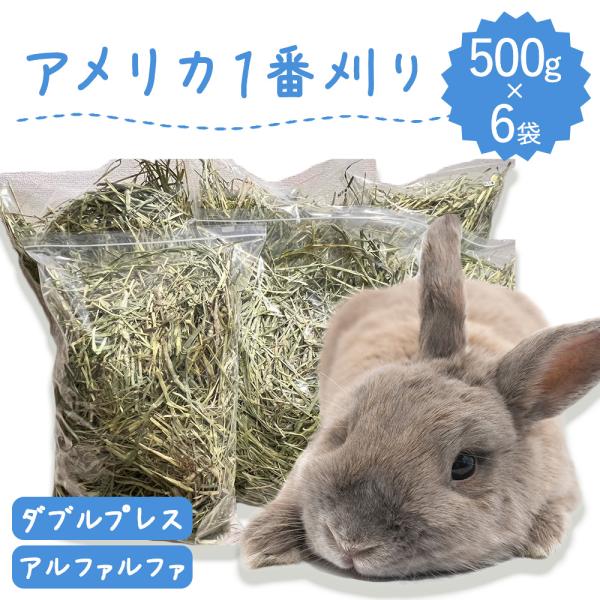 【ラベルレス】うさぎ 牧草 ウサギ アルファルファ ダブルプレス 500g×6袋 アメリカ産 牧草王...