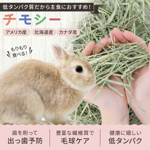 チモシー 一番刈り うさぎの餌 牧草 カナダ産...の詳細画像1