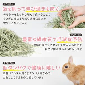 チモシー 一番刈り うさぎの餌 牧草 カナダ産...の詳細画像2