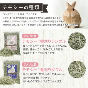 チモシー 一番刈り うさぎの餌 牧草 カナダ産...の詳細画像3