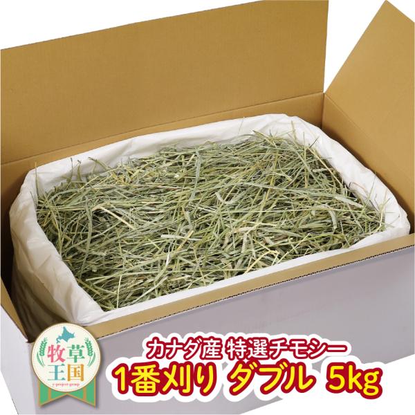 【ラベルレス】【お値段以上】うさぎ ウサギ 牧草 チモシー ダブルプレス 5kg カナダ産 1番刈り...