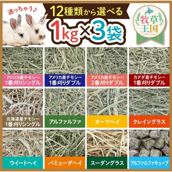 【1kg×3袋】12種類から選べる うさぎ 牧草 3種セット オーツヘイ アルファルファ チモシー ...