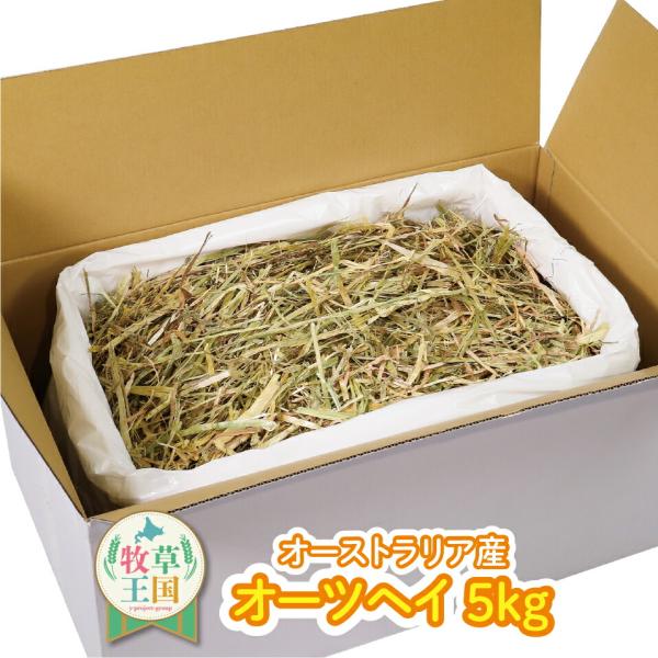 オーツヘイ 5kg 【人気商品】うさぎ牧草 ウサギ オーツヘイ オーストラリア産 牧草王国 うさぎ ...
