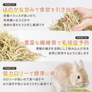うさぎ 牧草 オーツヘイ 特選プレミアム オー...の詳細画像2