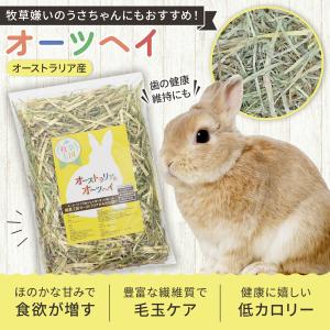 うさぎ 牧草 オーツヘイ 特選プレミアム オー...の詳細画像1