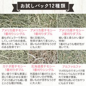 うさぎ 牧草 チモシー お試しセット ペットフ...の詳細画像1