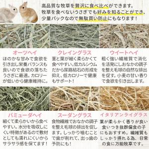 うさぎ 牧草 チモシー お試しセット ペットフ...の詳細画像2