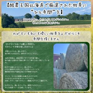 うさぎ 牧草 チモシー お試しセット ペットフ...の詳細画像4