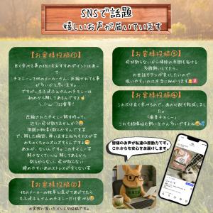 うさぎ 牧草 チモシー お試しセット ペットフ...の詳細画像5
