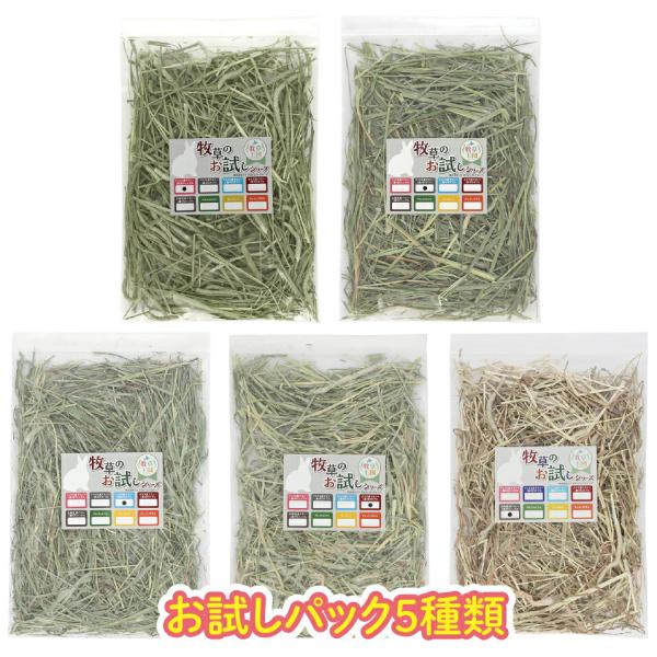 うさぎ 牧草 チモシー5種お試しセット アメリカ産 カナダ産 北海道産 ウサギ チンチラ デグー ハ...