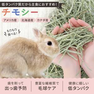 うさぎ 牧草 チモシー お試しセット ペットフ...の詳細画像1