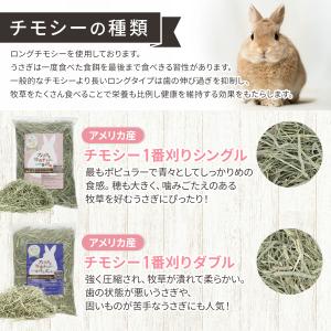 うさぎ 牧草 チモシー お試しセット ペットフ...の詳細画像4