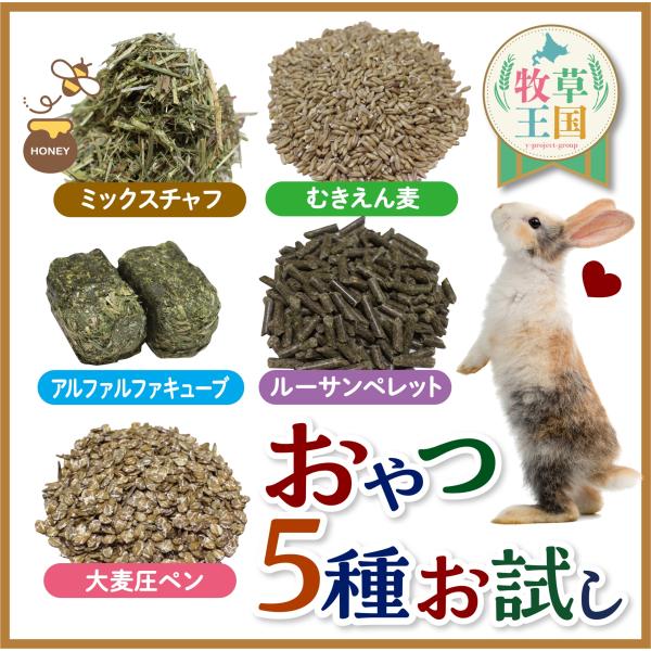 【お試しおやつ】うさぎ おやつ  お試しセット 100g×5種類 うさぎ 牧草 キューブ アルファル...