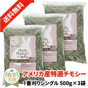 牧草王国 うさぎ 牧草 チモシー 特選プレミアム アメリカ産 2番刈り