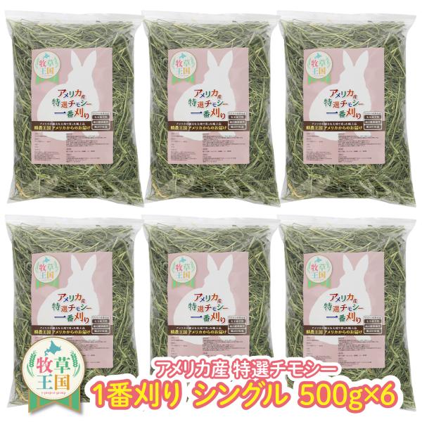うさぎ 牧草アメリカ産 特選プレミアム チモシー 1番刈りシングル 500g×6袋 もふぱふぇ 牧草...
