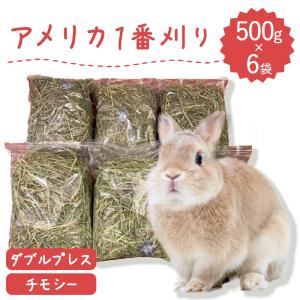 牧草王国 【キューブ型】【ラベル有】うさぎ牧草 ウサギ