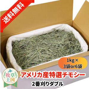 ウーリー（WOOLY） チカラのちから 健康の基礎となる”免疫”により強い