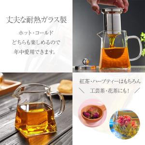 耐熱ガラス ティーポット 750ml 大きめ ...の詳細画像2