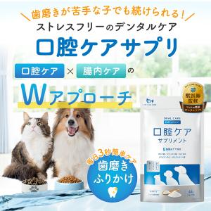 ペットリンクモア公式 獣医師監修 犬 猫 口腔...の詳細画像1