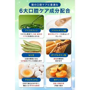 ペットリンクモア公式 獣医師監修 猫用 口腔ケ...の詳細画像3