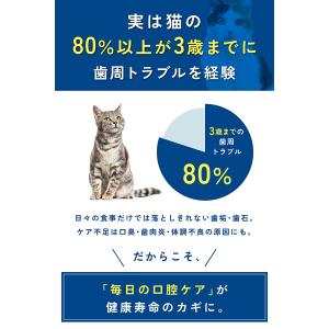ペットリンクモア公式 獣医師監修 猫用 口腔ケ...の詳細画像4