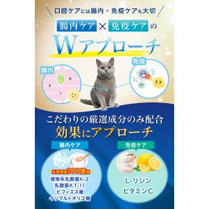 ペットリンクモア公式 獣医師監修 猫用 口腔ケ...の詳細画像5