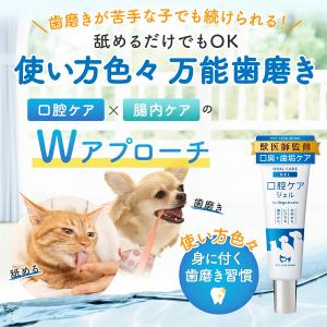 ペットリンクモア公式 獣医師監修 犬 猫 口腔...の詳細画像1