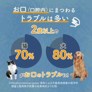 公式 犬 猫 液体歯磨き 口腔ケアウォーター ...の詳細画像5