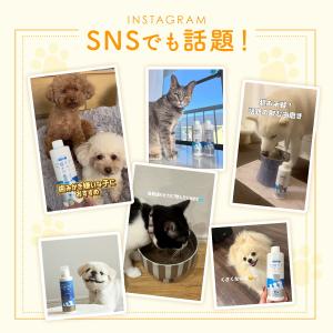 公式 犬 猫 液体歯磨き 口腔ケアウォーター ...の詳細画像2