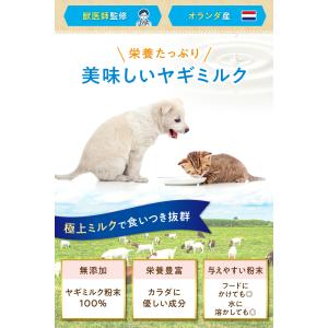 フードロス削減 賞味期限間近 特別価格 ペット...の詳細画像1