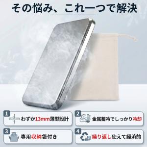 保冷剤 ステンレス 2個セット 薄型13mm ...の詳細画像3