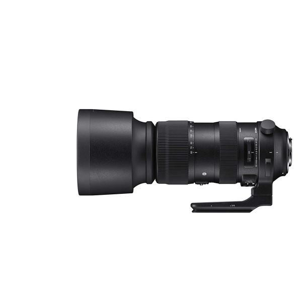 SIGMA 超望遠ズームレンズ 60-600mm F4.5-6.3 DG OS HSM | Spor...