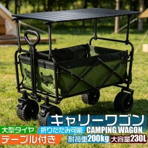 在庫処分 キャリーワゴン ブレーキ付き 大容量 長物対応 三段階調節