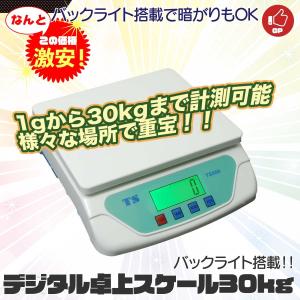 はかり 30kg 卓上スケール キッチンスケール 台秤 軽量 電子はかり 風袋引き機能｜ys-autogauge