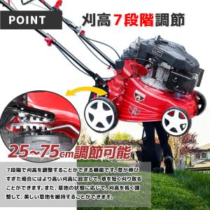 エンジン式芝刈機 5馬力55L集草袋付き 排気...の詳細画像5