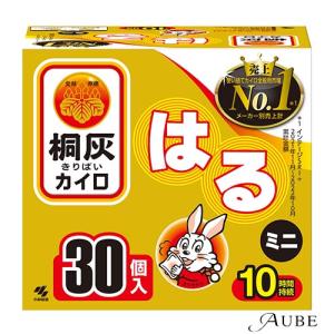 桐灰 小林製薬 桐灰カイロ 貼る ミニ 10個入【ドラッグストア