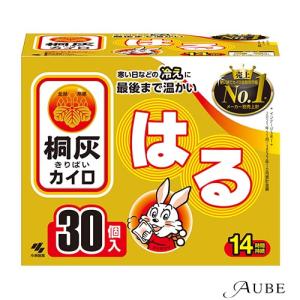 桐灰 小林製薬 桐灰カイロ 貼る 10個入【ドラッグストア】【宅急便対応