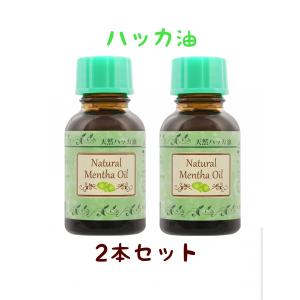 ２本セット　天然ハッカ油　ハッカオイル　健栄製薬株式会社｜ys-lifestore1807