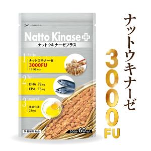 ナットウキナーゼプラス ナットウキナーゼ 3000FU配合